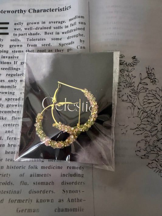 Cute pastel earrings