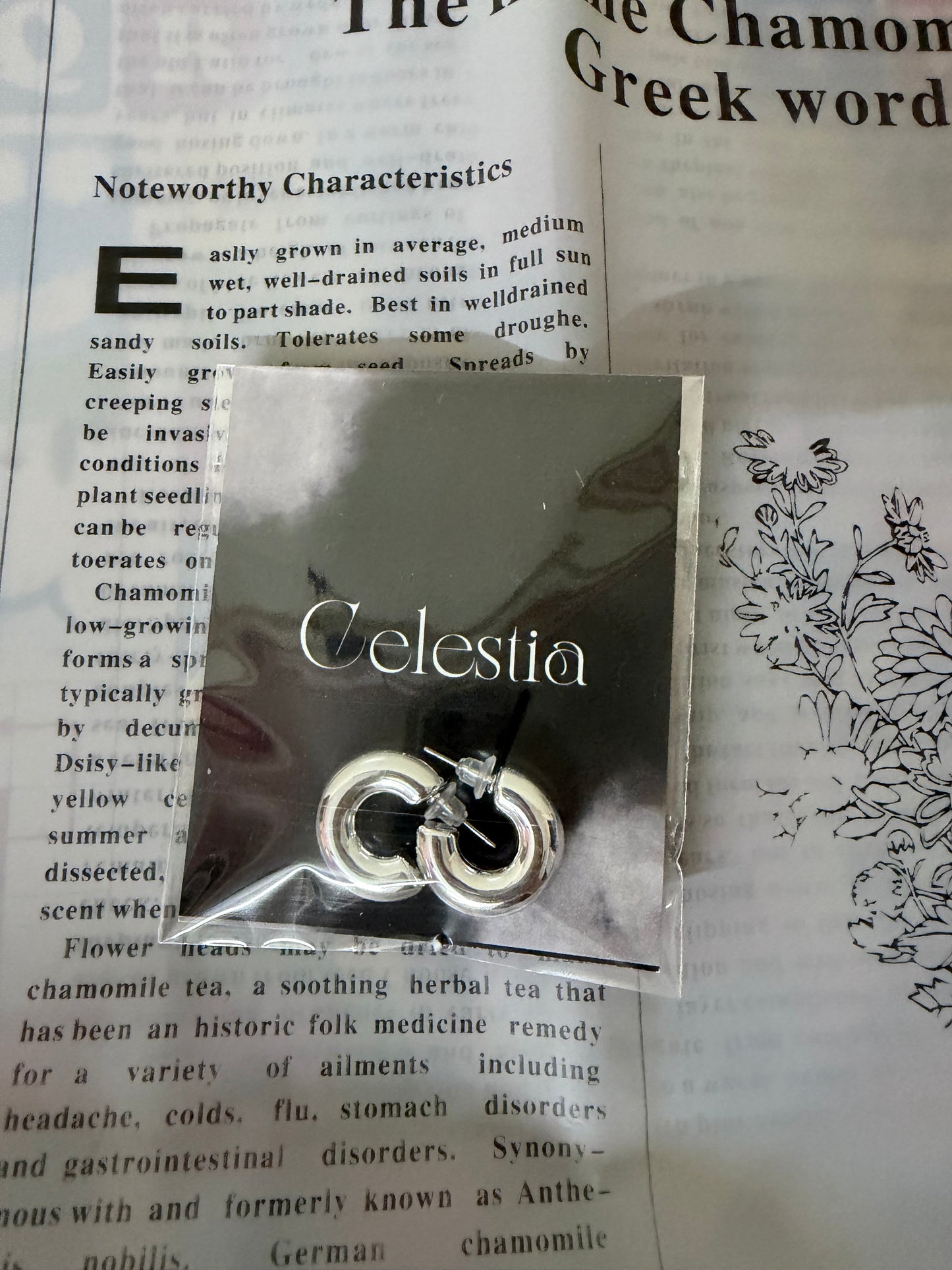 Silver Anti Tarnish hoops