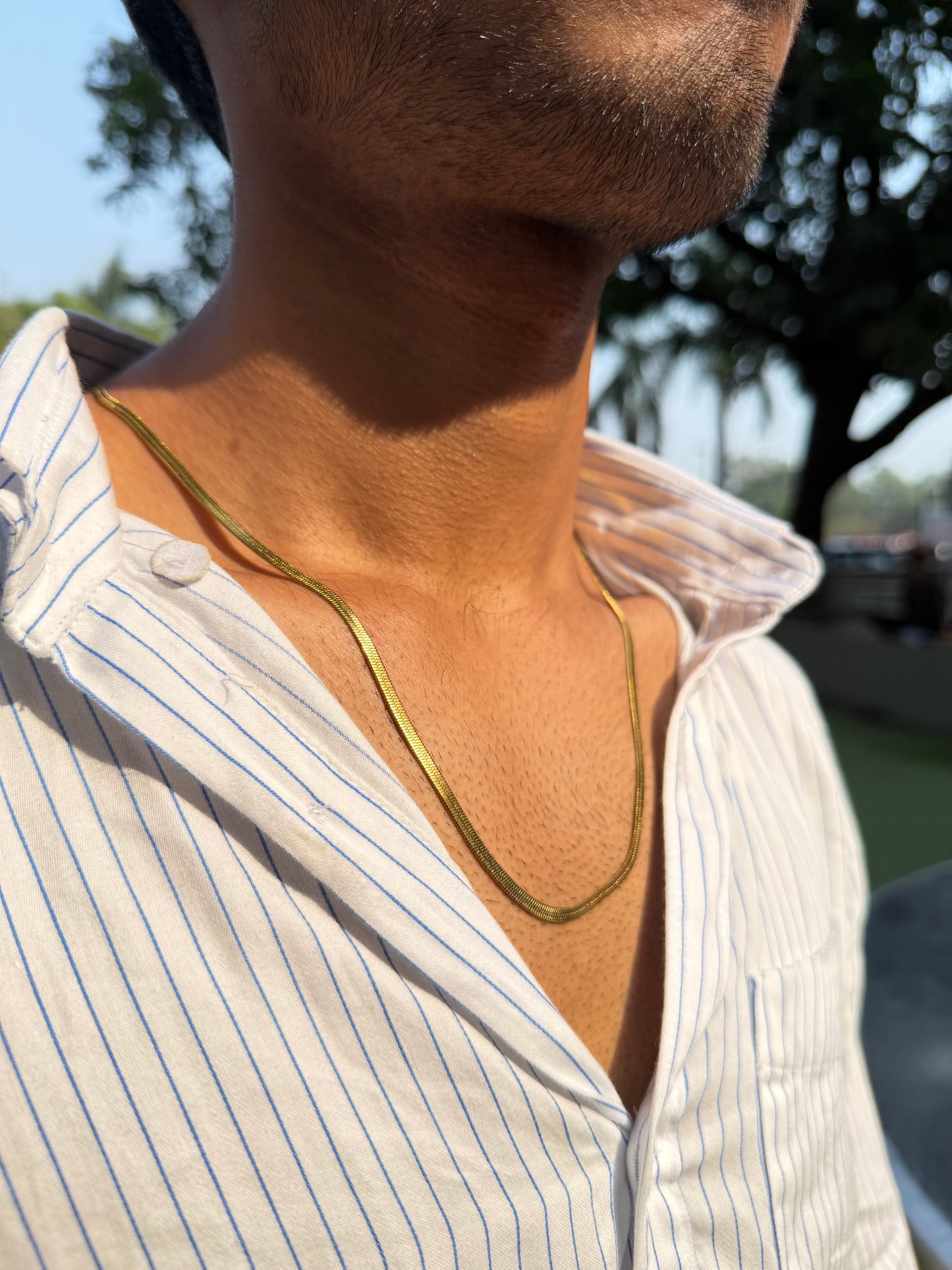 Gold Snake Chain
