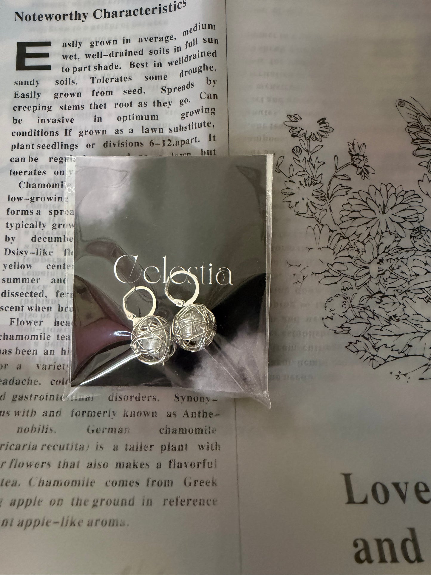 Princess Themed Earrings